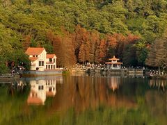-深圳仙湖植物园