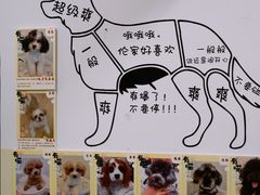 -有喵·猫咖·狗咖·30几只猫10只小狗(岗厦店)