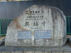 -奈良公园