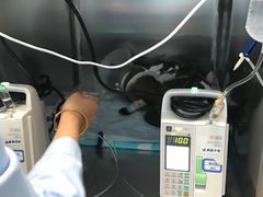 -纳吉亚猫专科动物诊疗中心(蒋宅口分院)