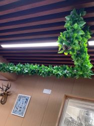 -纯剪男士理发馆·烫染专业店