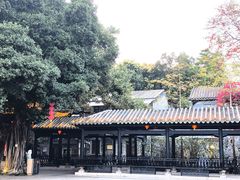 -荔湾湖公园