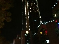 -虎门美思威尔顿酒店(海之光自助餐)