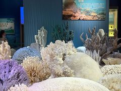-深海中餐厅(国家海洋博物馆店)