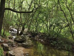 -牛背梁国家森林公园