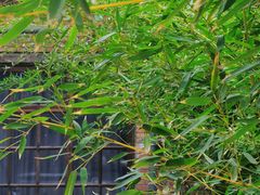 -西安电影制片厂