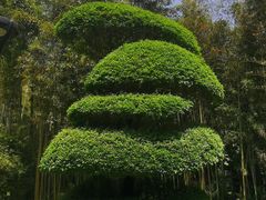 -苏州河梦清园环保主题公园