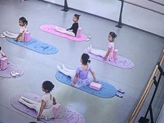 -中央芭蕾舞团·中芭艺蕾(酒仙桥明星校区)