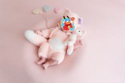 -西瓜庄园儿童摄影