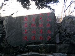 android_upload_pic-西安国际创新人才交流中心•药浴温泉
