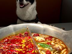 -湊湊火锅·茶憩(南京万象天地店)