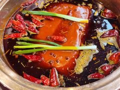 -镇江龙·火锅串串(武侯祠店)