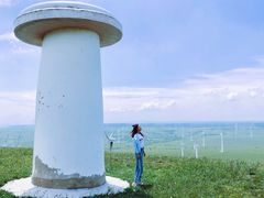 -塞罕坝国家级自然保护区