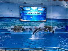 -多彩贵州城极地海洋世界