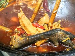 -石灰市毛记烧鸡公(解放碑店)