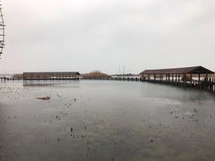 -太湖湖滨国家湿地公园-停车场