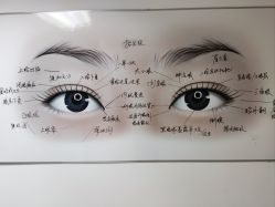 -丰联丽格医疗美容·联合丽格眼整形中心