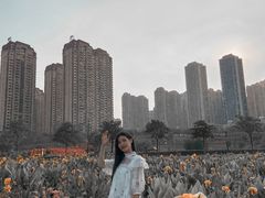-那考河湿地公园