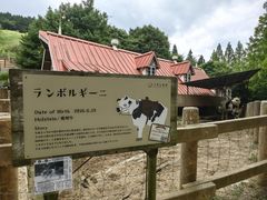 -神户市立六甲山牧场