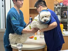 -联合动物医院(光谷诊疗中心)