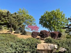 -北京西山国家森林公园