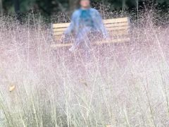 -苏州河梦清园环保主题公园