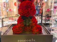 -ROSEONLY诺誓(沈阳万象城店)