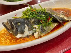 -湛江渔港·大排档(乐园路总店)