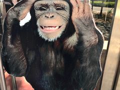 -鄂尔多斯野生动物园