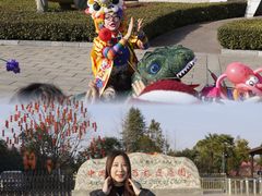-中国西峡恐龙遗迹园