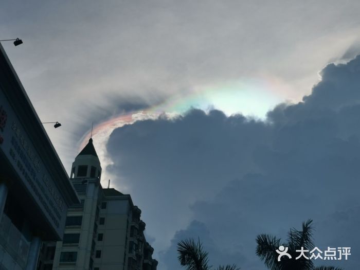 松山湖南湖湾露营营地图片