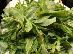 -额尔敦草原涮羊肉·烧烤(冻青树总店)