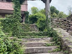 -蛇蟠岛