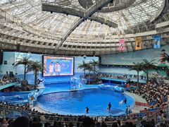 -海合安成都极地海洋公园