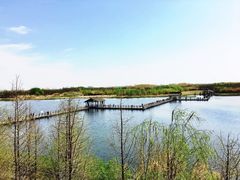 -溱湖国家湿地公园