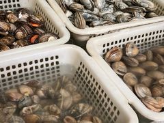 -海草馆自助餐厅(悦海店)