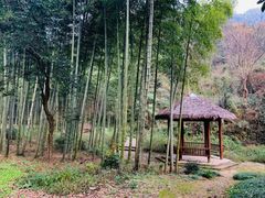 -黄公望隐居地