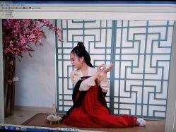 点击看大图 -虞美人汉服摄影