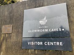 -怀托摩萤火虫洞