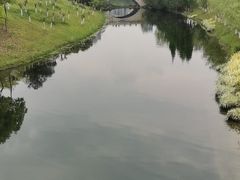 -眉山湿地公园(东坡区)