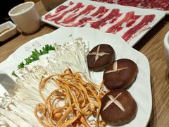 -掂档潮汕牛肉火锅(沈阳万象城店)