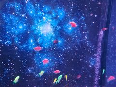 -常州海昌海洋探索馆