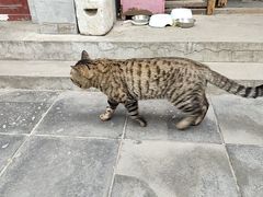 -正阳书局(西四南大街店)