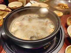-滇野云南野生菌餐厅(陕西南路店)
