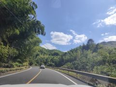 -四明山国家森林公园