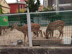 -清风小镇闯关东影视基地