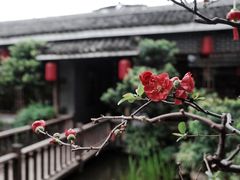 -凤凰山斑鱼馆(恭城店)