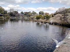-水前寺成趣园