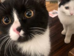 -么么咖啡(燕郊店)