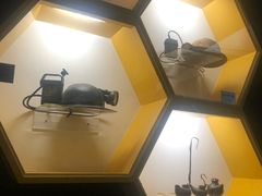 -陕西自然博物馆